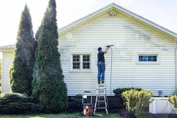 Best Dumpster Area Cleaning  in St Joseph, MN